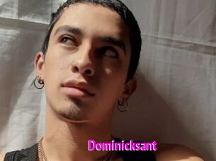 Dominicksant