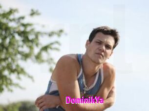 DominikYa