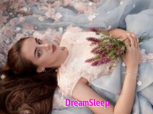 DreamSleep