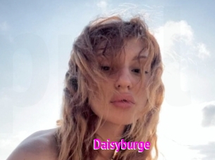 Daisyburge