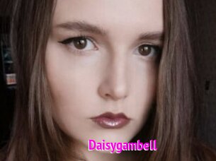 Daisygambell