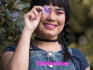 Dakotacollyass