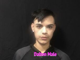 Dalton_Male