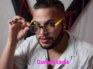 Daminbricksub
