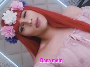 Dana_mein