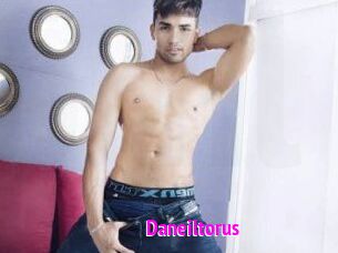 Daneil_torus