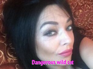 Dangerous_wild_cat