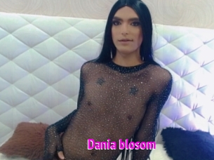 Dania_blosom