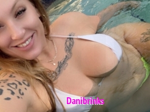 Danibrinks