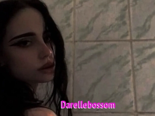 Darellebossom
