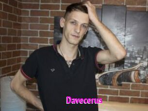 Davecerus
