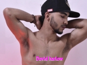 david_harlow Porn Loverz
