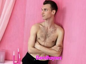 Davidhaynes
