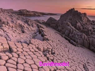 Davidhmodel