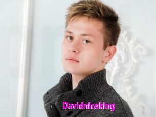 Davidniceking