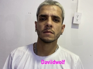Daviidwolf