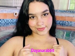 Dayanarabbit