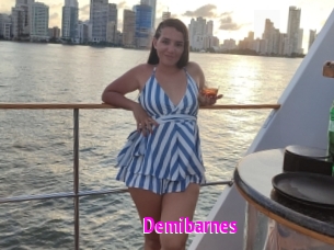 Demibarnes