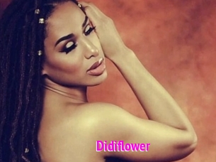 Didiflower