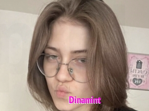 Dinamint
