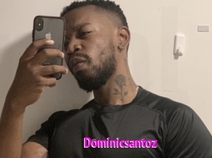 Dominicsantoz