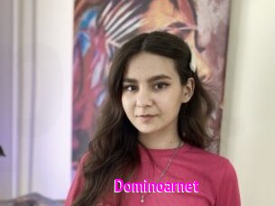Dominoarnet