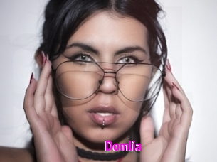 Domlia