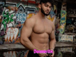 Donmerlin