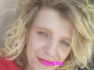 dragibus Porn Loverz