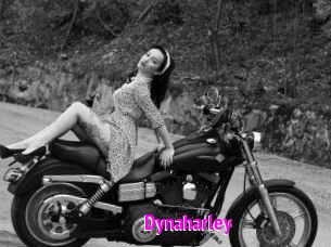 Dynaharley