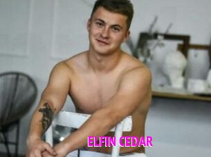 ELFIN_CEDAR