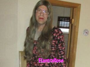 Elantra_Rose