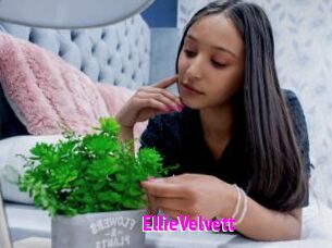 EllieVelvett