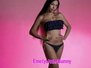 EmelyLittleBunny