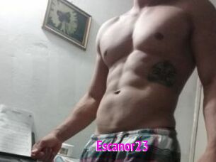 Escanor23