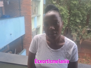 Ecxorticmelanin