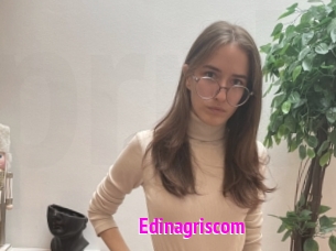 Edinagriscom