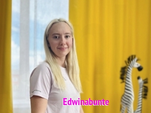 Edwinabunte
