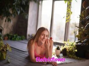 Electricflower
