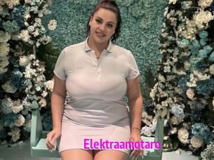 Elektraamotaro