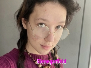 Elenegarfield