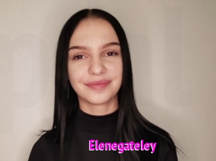 Elenegateley