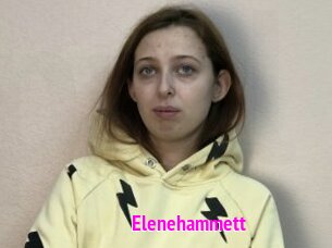 Elenehammett