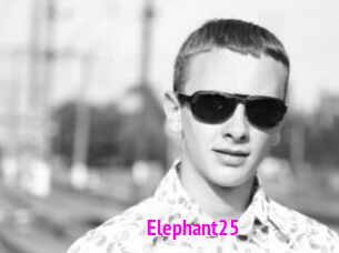 Elephant25