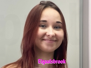 Elgaalsbrook