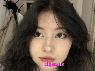 Elgacarls