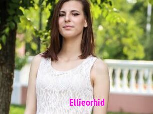 Ellieorhid