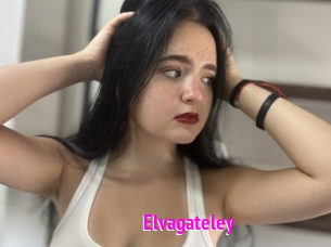 Elvagateley