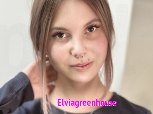 Elviagreenhouse