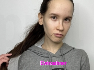 Elvinaabner